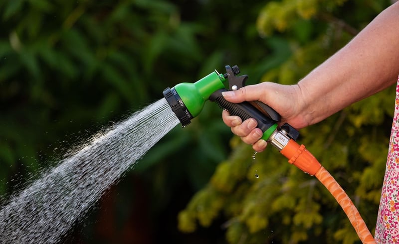 Watering plants